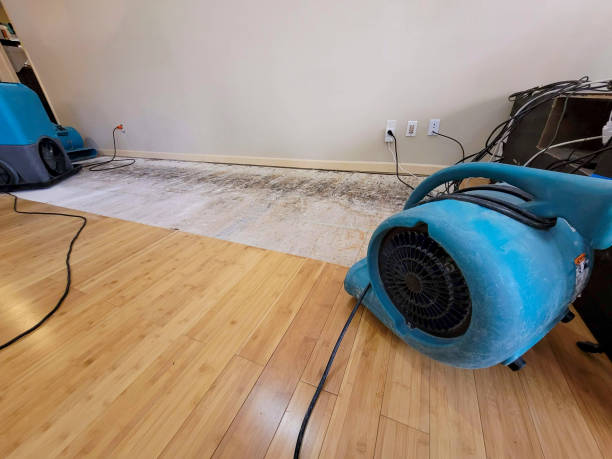 Professional Basement Flood Cleanup technician working in Point Pleasant, WV
